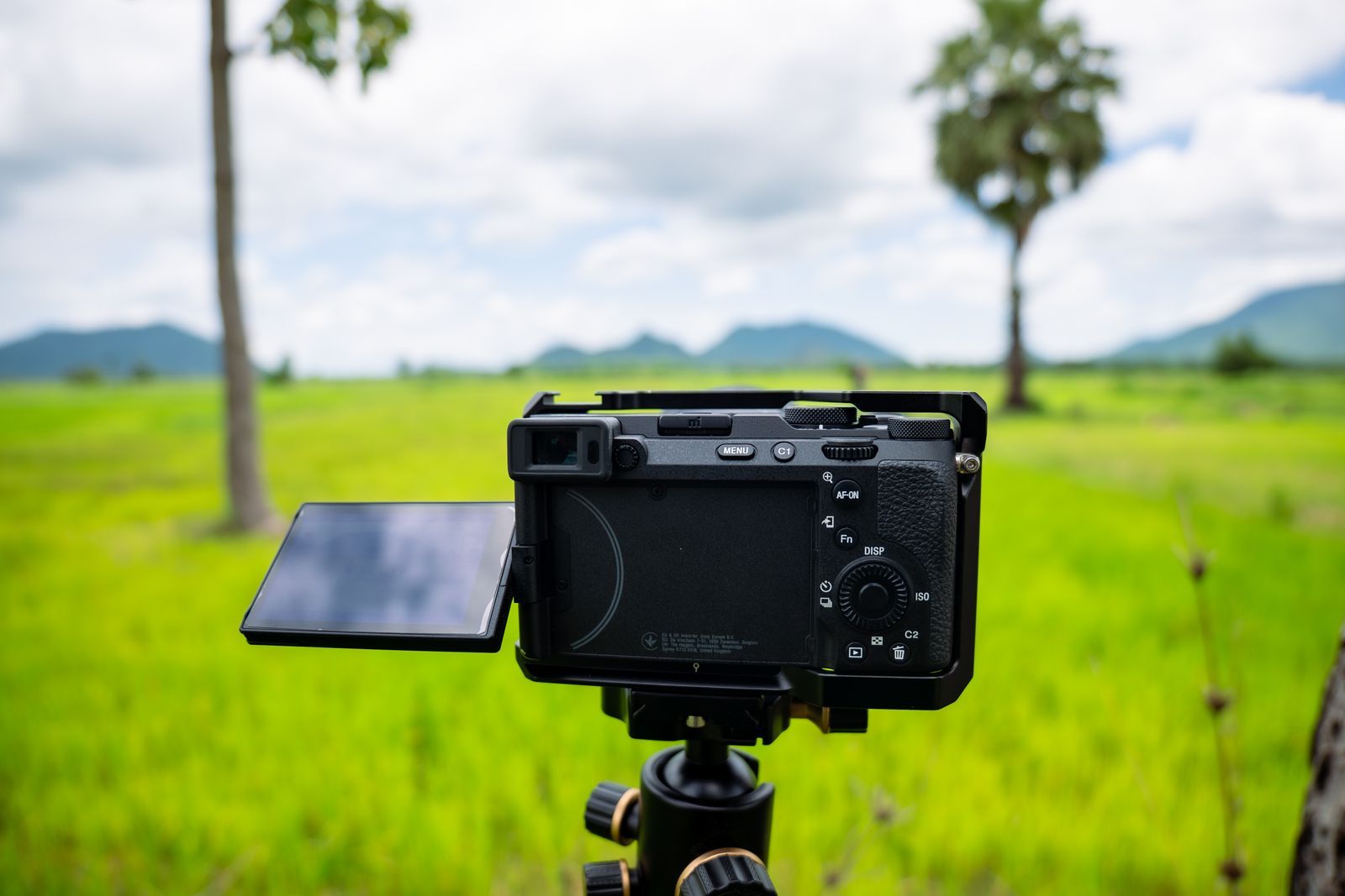 Appareil photo sur trépied